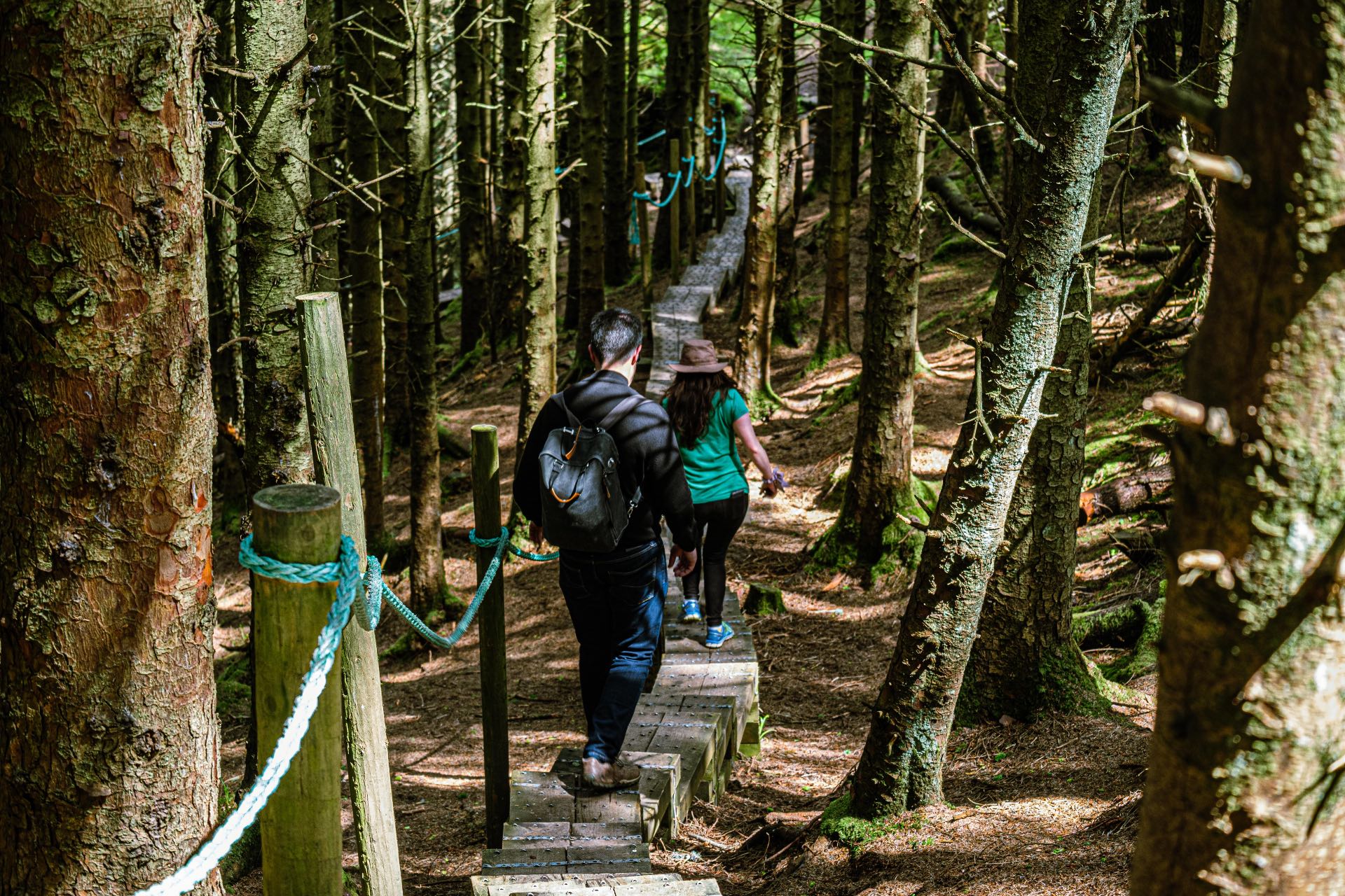 Knocknarea Boardwalk Queen Maeve Trail Co Sligo master