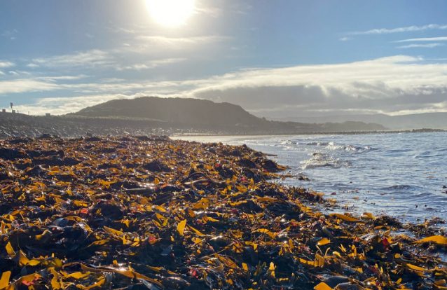 strandhill