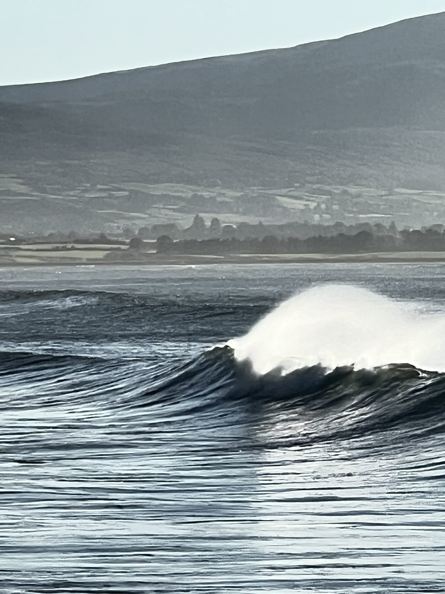 35ECEBF2 89C5 4A19 B4A1 5F13561AF706